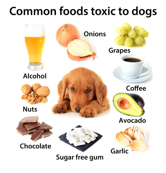 National Poison Prevention Week