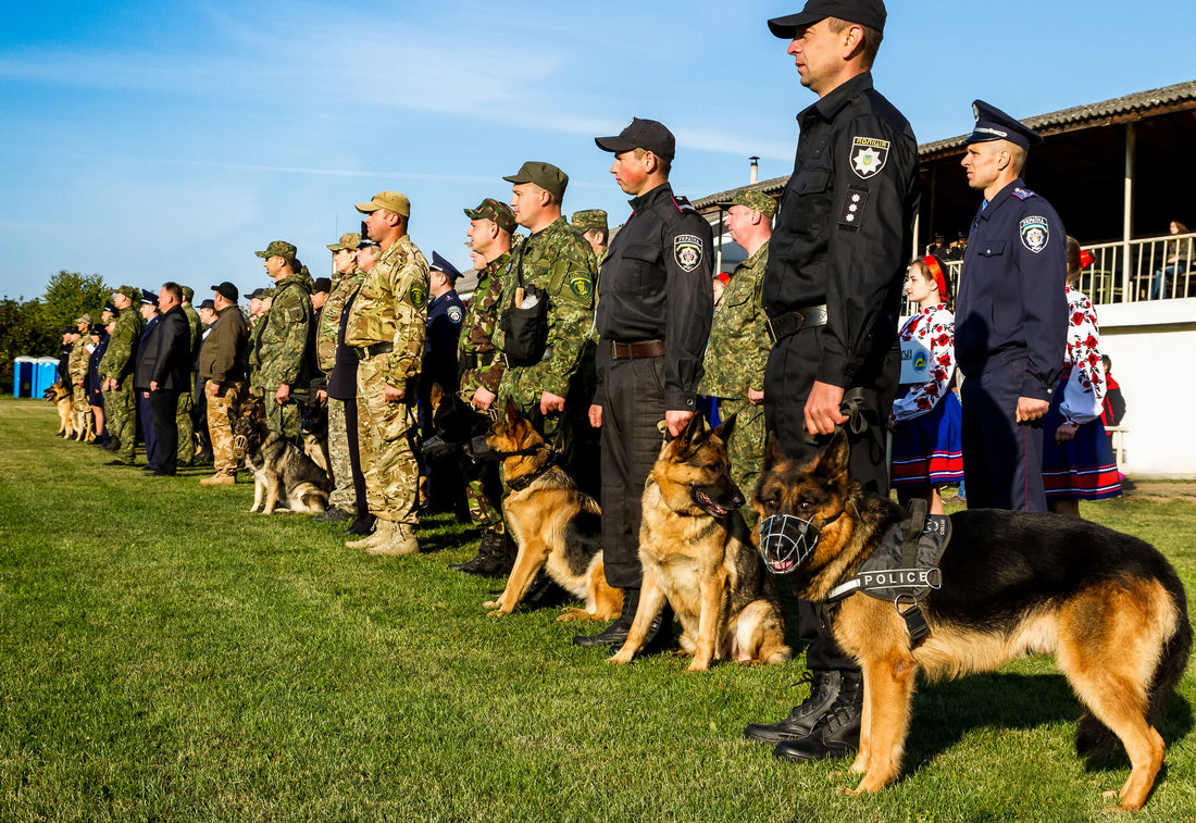 Celebrate K-9 Veterans Day on March 13th