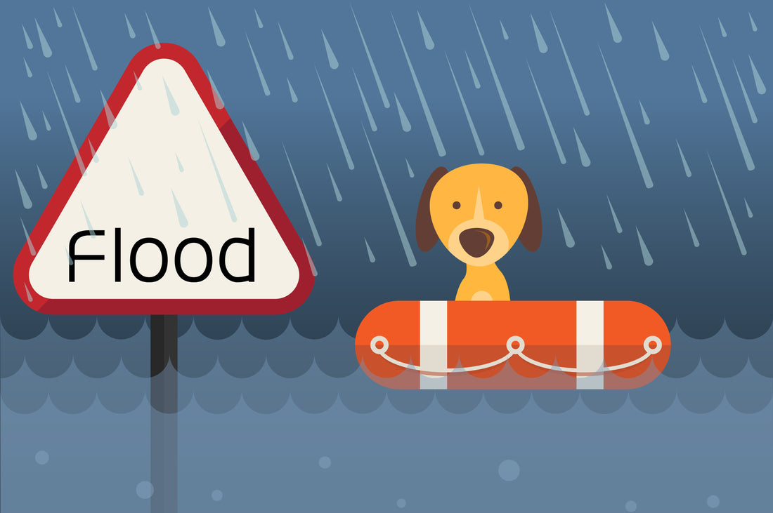Be Prepared to Care for Your Pets in a Disaster – National Animal Disaster Preparedness Day is May 12