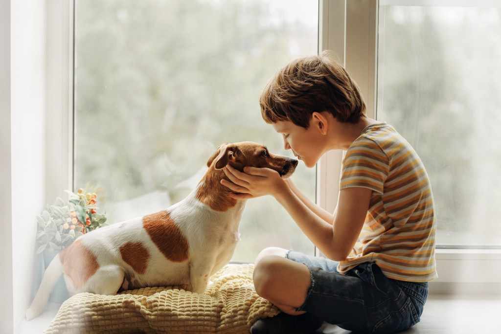Creative Ways to Add a Doggy Door to Your Home