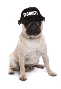 Dog Door Security Barrier: A Simple Guide to Securing Your Dog Door