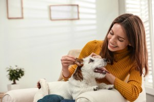 4 Ways to Use an Inside Pet Door