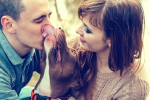How to Choose the Best Dog Door for You and Your Pet