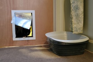 Cat Doors in Your Home – Great for You & Your Cat