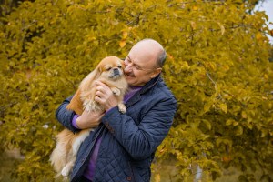 Beginners Guide to Buying a Dog Door Ramp