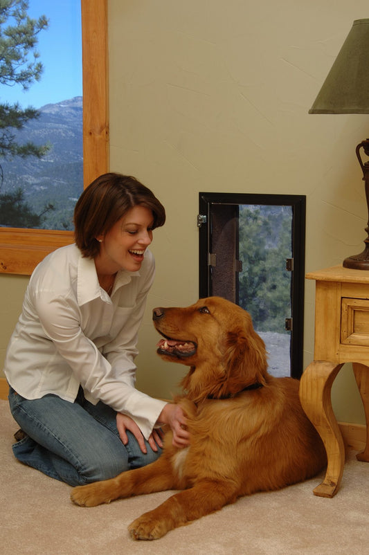 The Important Benefits of Having a Pet Door