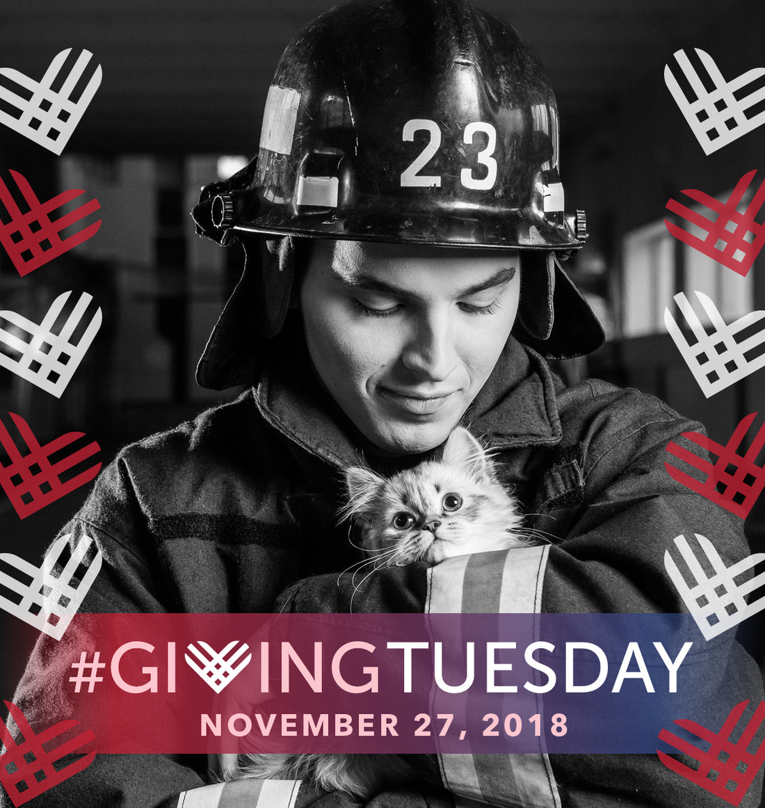 Help Hale Pet Door Make a Difference This Giving Tuesday