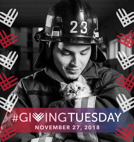 Help Hale Pet Door Make a Difference This Giving Tuesday