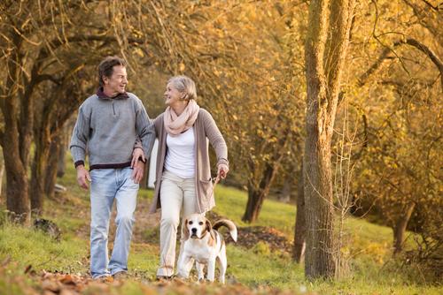Dog Ownership and Cardiovascular Health: Wagging Tails and Happy Hearts