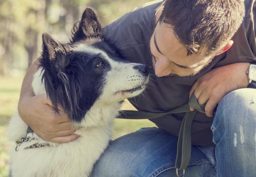 How to Encourage Positive Behavior in Your Dog