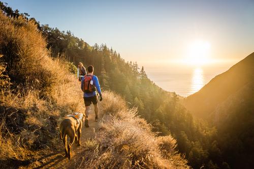 Tips for Hiking with your Dog