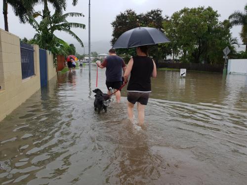 National Animal Disaster Preparedness Day – (Second Saturday of May)