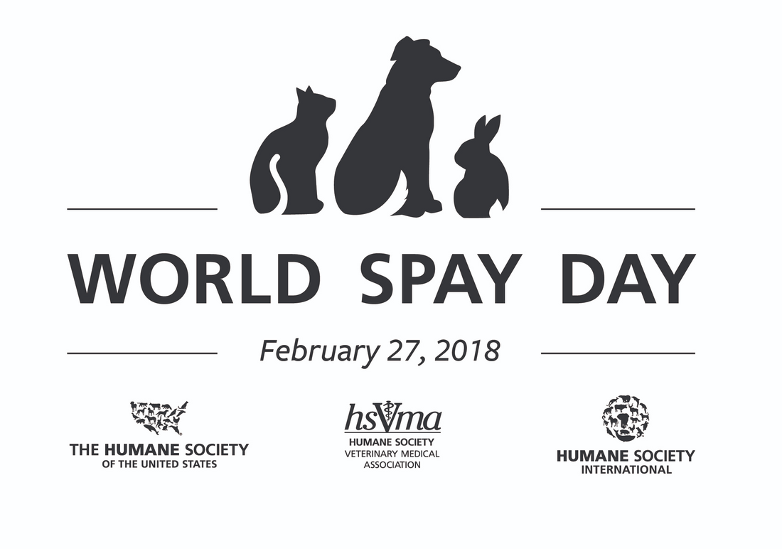 World Spay Day