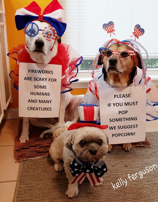 Protect Your Pets During Independence Day Celebrations