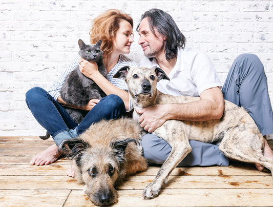 November is Adopt a Senior Pet Month
