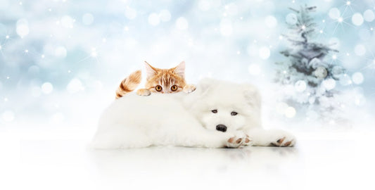 Warmest Wishes to Everyone from Hale Pet Door