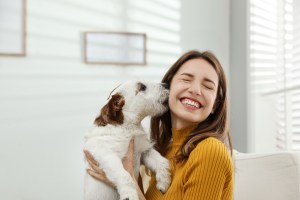 The Best Dog Doors You and Your Pet Will Love