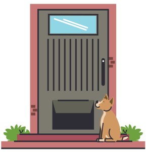 Dog Doors 101 : Three Things to Know