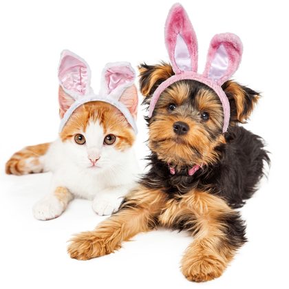 Have a Safe and Happy Easter for You and Your Pets