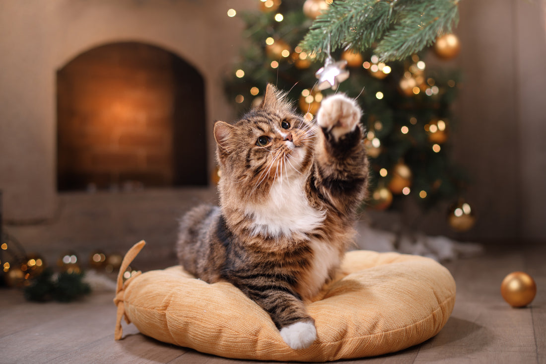 Hale Pet Door Thanks our Customers with a Holiday Gift