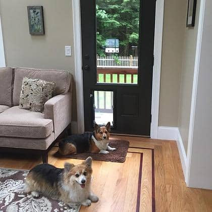 Hale Door Model - size comparison