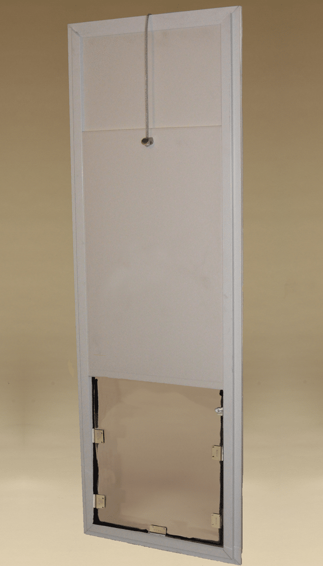 Hale Kennel Model - installed view